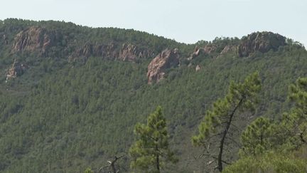 Var : le massif de l'Estérel placé sous haute surveillance face aux risques d'incendie