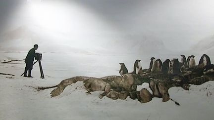 De l’Antarctique à Madagascar... explorateurs d’hier et d'aujourd'hui ; deux expositions au Museum d'histoire naturelle du Havre (France 3 Normandie / INA)