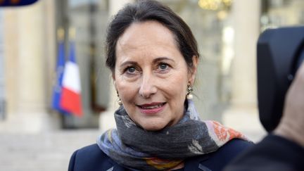 La ministre de l'Ecologie S&eacute;gol&egrave;ne Royal le 29 octobre 2014 &agrave; Paris. (BERTRAND GUAY / AFP)