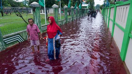 Des habitants d'un village proche de&nbsp;Pekalongan (Indonésie) envahi par des flots de couleur rouge sang après des inondations, du fait d'une usine de teinture, le 6 février 2021. (SHAKA / AFP)