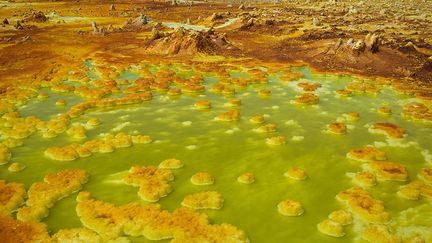 La présence de nombreux minéraux dans le sol provoque une réaction chimique et donne un caractère irréel à ce paysage maintes fois photographié par les voyageurs. (Reuters/Siegfried Modola)