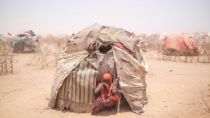 Une autre femme, veuve et mère de sept enfants, qui a rejoint elle aussi Adlale en portant son fils de 15 ans, handicapé, sur son dos explique: "J'avais 100 chèvres, elles sont toutes mortes (...) Je suis venue sans rien. J'avais trois ânes de bât, mais ils sont tous morts". Elle ajoute n'avoir "jamais vécu une telle sécheresse". &nbsp; (EDUARDO SOTERAS / AFP)