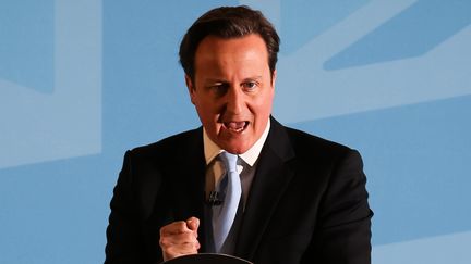 Le Premier ministre britannique, David Cameron, le 25 mars 2013 &agrave;&nbsp;Ipswich (Royaume-Uni). (PAUL ROGERS / AFP)