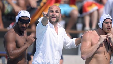 Le sélectionneur de l'équipe de France de water-polo, Florian Bruzzo (ATTILA KISBENEDEK / AFP)