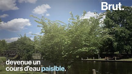 Une photo d'une rivière américaine en feu à cause des produits toxiques rejetés par les usines voisines. 50 ans d'efforts plus tard, voilà comment la vie a repris dans cette zone qui semblait condamnée.