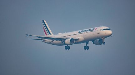 Un avion Air France à son arrivée à l'aéroport d'Amsterdam le 1er avril 2021. (NICOLAS ECONOMOU / NURPHOTO / AFP)