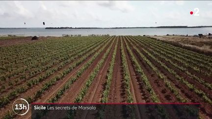 Italie : le vin de Marsala, un savoir-faire ancestral au goût unique