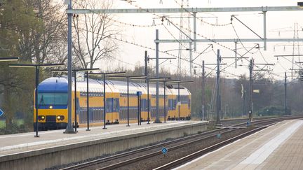 Un train de la compagnie néerlandaise&nbsp;Nederlandse Spoorwegen, le 13 novembre 2014. (JAAP ARRIENS / NURPHOTO / AFP)