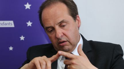 Jean-Christophe Lagarde, président de l'UDI, à Mulhouse le 17 mai 2019 (JEAN-FRAN?OIS FREY / MAXPPP)