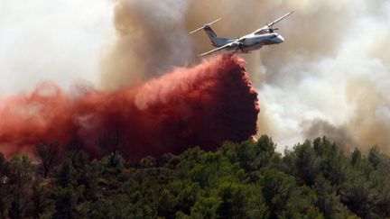 Un avion Dash 8q400 tente d'&eacute;teindre une partie de l'incendie pr&egrave;s d'Orgon (Bouchez-du-Rh&ocirc;ne), le 26 ao&ucirc;t 2012. (SEBASTIEN HREBLAY / AFP)