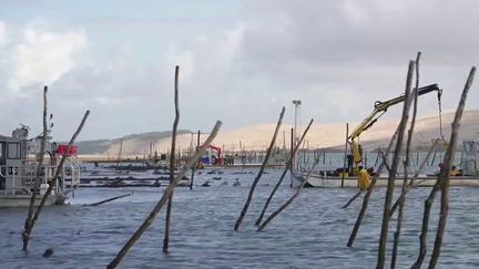 Du côté du bassin d'Arcachon, mercredi 1er novembre, c'est la course contre-la-montre pour les ostréiculteurs, qui ont déjà subi de gros dégâts le week-end dernier. Certaines parcelles ont été dévastées, alors ils tentent désormais de sauver ce qui peut l'être. (France 2)