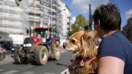 Une Parisienne regarde des tracteurs circuler dans une rue de la capitale. (YOAN VALAT / EPA)