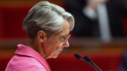 La Première ministre Elisabeth Borne durant une séance à l'Assemblée nationale, à Paris, le 23 octobre 2023. (BERTRAND GUAY / AFP)