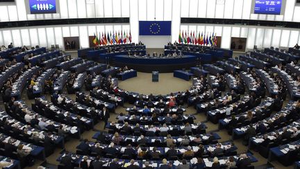 Le Parlement européen, le 13 février 2019. (FREDERICK FLORIN / AFP)