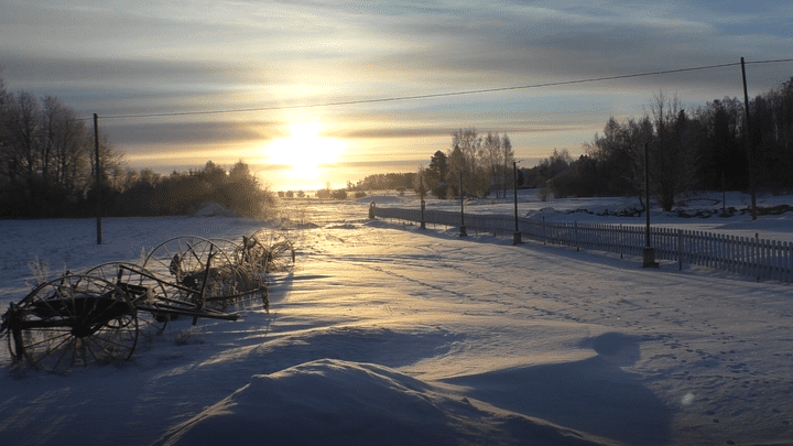 Dans ce paysage de taïga gelée, on se prépare à l'attaque dans une longue forêt estonienne à quelque 130 km de la frontière russe, en février 2023. (Eric Biegala / Radio France)