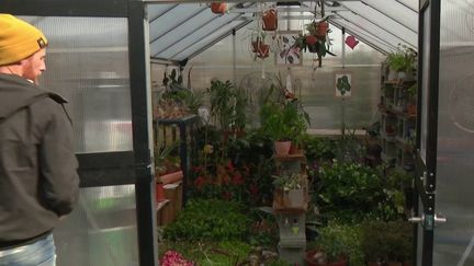 Lyon : la SPA des plantes lutte contre le gaspillage des végétaux