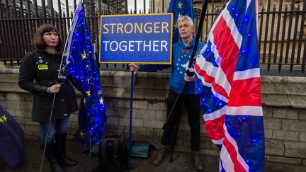 Des manifestants opposés au Brexit devant le Parlement britannique, le 30 janvier 2020 à Londres (Royaume-Uni).&nbsp; (WIKTOR SZYMANOWICZ / NURPHOTO / AFP)