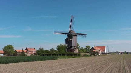 13h : Patrimoine : le moulin, l'emblème de la Flandre française