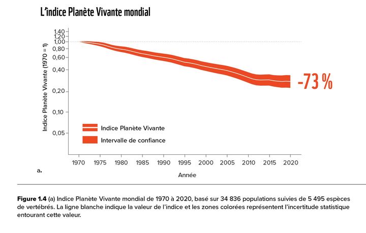 L'indice Planète vivante affiche une baisse de 73% depuis sa création, en 1970, selon ce graphique du WWF. (WWF)