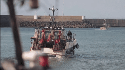 Chalutiers : les pêcheurs autorisés à pêcher dans des zones protégées