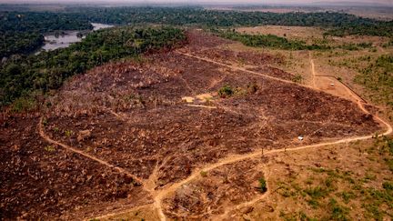 Vue aérienne de la déforestation de forêt amazonienne, le 29 août 2019, dans l'Etat de Mato Grosso, au Brésil.&nbsp; (MAYKE TOSCANO / MATO GROSSO STATE COMMUNICATION / AFP)