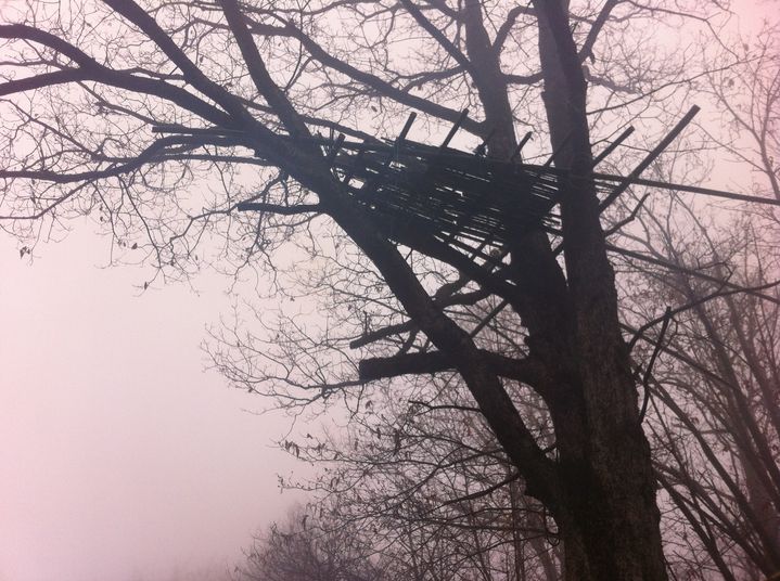 Les zadistes guettent l'arriv&eacute;e des forces de l'ordre du haut d'un mirador en bois, &agrave; l'entr&eacute;e de leur zone d'occupation, pr&egrave;s de Roybon (Is&egrave;re),&nbsp;le 3 d&eacute;cembre 2014. (TATIANA LISSITZKY/ FRANCETV INFO)