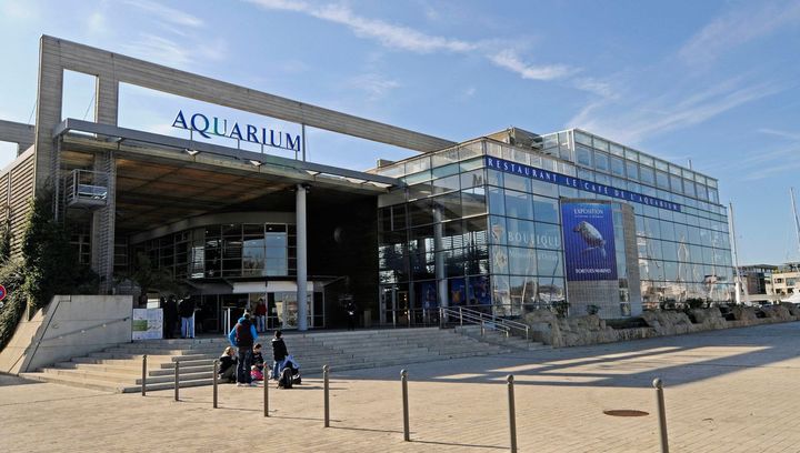 Aquarium de La Rochelle. (France Bleu)