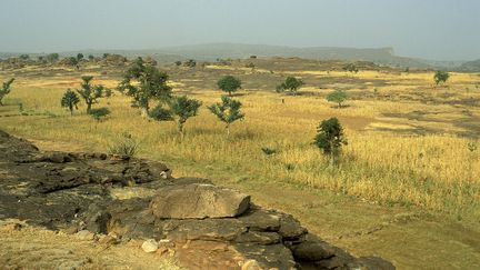 Paysage du plateau de Bandiagara (Mali) en février 2008. (DANILE SCHNEIDER / PHOTONONSTOP via AFP)