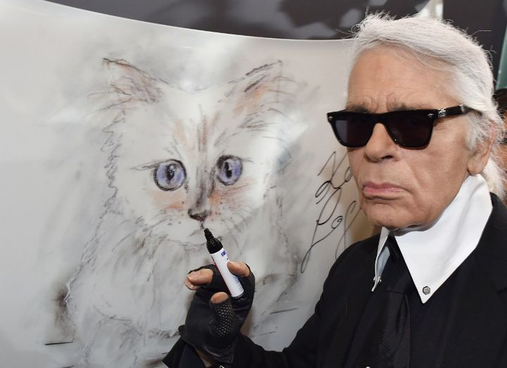 Karl Lagerfeld dessinant sa chatte Choupette (2015)
 (JENS KALAENE / DPA / dpa Picture-Alliance/AFP)