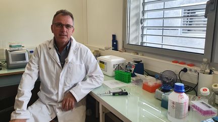 Le chercheur Jean-Marc Lemaître dans son laboratoire à Montpellier (Hérault), mai 2022 (BORIS HALLIER / FRANCEINFO / RADIO FRANCE)