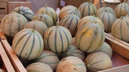 Cageots de melons sur un étal du&nbsp;marché de Vaison-la-Romaine, 2016. (AURÉLIE LAGAIN / FRANCE-BLEU VAUCLUSE)