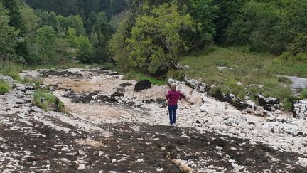 Le site naturel du défilé d'Entre-Roches, dans la commune de Ville-du-Pont, dans le Doubs, asséché et couvert de pierres, le 15 septembre 2018.&nbsp; (PASCAL REILE)