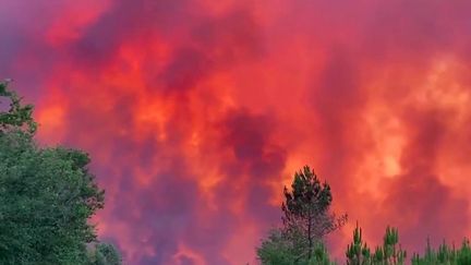 Incendies en Gironde : le feu avance à une vitesse fulgurante