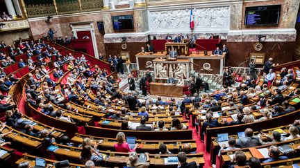 L'Assemblée nationale, à Paris, le 31 juillet 2018. (MAXPPP)