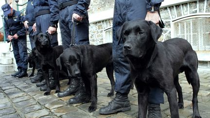 Le directeur d'un &eacute;tablissement priv&eacute; des Landes a fait venir des policiers accompagn&eacute;s d'un chien renifleur pour sensibiliser ses &eacute;l&egrave;ves aux dangers des drogues.&nbsp; (JACQUES DEMARTHON / AFP)