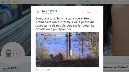 Capture d'écran du tweet de la Ligne R du Transilien, le 17 janvier 2019. (LIGNE R SNCF / TWITTER)