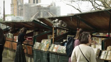 Bouquiniste sur les quais de Seine, Paris. (CAPTURE D'ÉCRAN FRANCE 2)