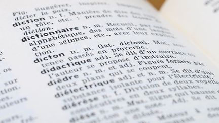  (150 nouveaux mots ajoutés au Larousse © Fotolia)