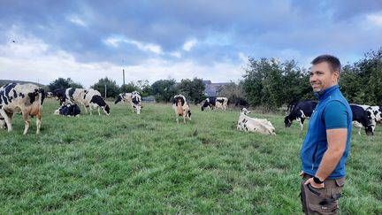 Romain Marqué avec ses vaches dans un pré du Rheu, près de Rennes, en septembre 2022. (Guillaume Gaven / FRANCEINFO)