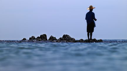 Parmi les r&eacute;fugi&eacute;s climatiques, il n'y a pas que des personnes qui vivent sur des &icirc;les menac&eacute;es par la mont&eacute;e du niveau des oc&eacute;ans. (NIELS BUSCH / CULTURA CREATIVE / AFP)