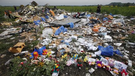 Le site du crash du vol MH17 pr&egrave;s de&nbsp;Rozspyne (Ukraine), le 19 juillet 2014. (MAXIM ZMEYEV / REUTERS )