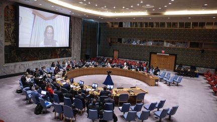 L'Assemblée générale de l'ONU, à New York, aux Etats-Unis, le 3 décembre 2024. (KENA BETANCUR / AFP)