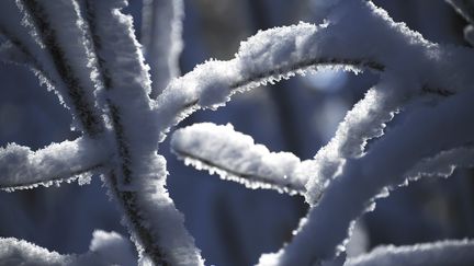 Vingt départements allant du Nord à l'Eure-et-Loir et du Calvados aux Ardennes ont été placés en vigilance orange par Météo France, le 6 janvier 2017. (FREDERICK FLORIN / AFP)