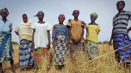 Le 11 octobre 2011, des femmes de la communauté de Watigué, au centre du Burkina Faso, se tiennent debout au milieu d’un champ de riz.

Les semences de riz qu’Oxfam leur avait donné, ont permis de planter 17 hectares. Mais à cause de la sécheresse, les récoltes ne pourront être utilisées que comme fourrage pour les animaux.

Près de deux millions de personnes seraient touchées. (AFP PHOTO / OXFAM / IRINA FUHRMANN)