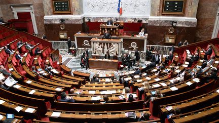 L'h&eacute;micycle de l'Assembl&eacute;e nationale, le 16 juillet 2014. (PIERRE ANDRIEU / AFP)