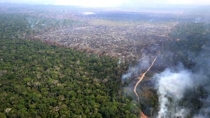 Vue aérienne de la forêt amazonienne, en cours de déboisement à travers des incendies criminels, dans l'Etat d'Amazonas, au Brésil, le 20 août 2024. (EVARISTO SA / AFP)