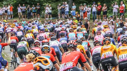 Le peloton lors de la sixième étape, le 16 août 2024. (LIONEL VADAM / MAXPPP)