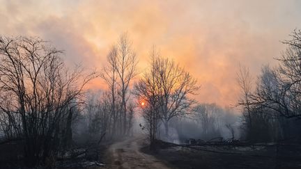 La forêt brûle aux alentours de l'ancienne centrale nucléaire de Tchernobyl, en Ukraine, le 5 avril 2020. (YAROSLAV EMELIANENKO / AFP)