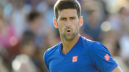 Novak Djokovic est bien lancé à Montréal (MINAS PANAGIOTAKIS / GETTY IMAGES NORTH AMERICA)