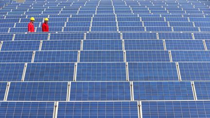 Deux ouvriers au milieu de panneaux solaires, à Jimo City, dans la province de Shandong, le 21 avril 2016.&nbsp; (LIANG XIAOPENG / IMAGINECHINA / AFP)